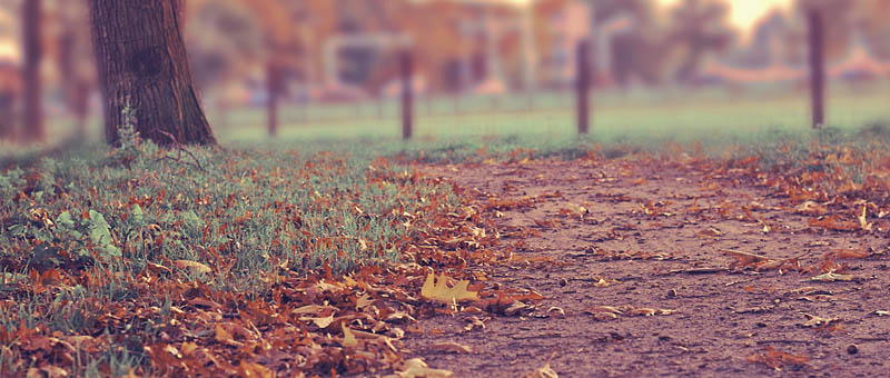 电话轰在线轰炸平台自助下单